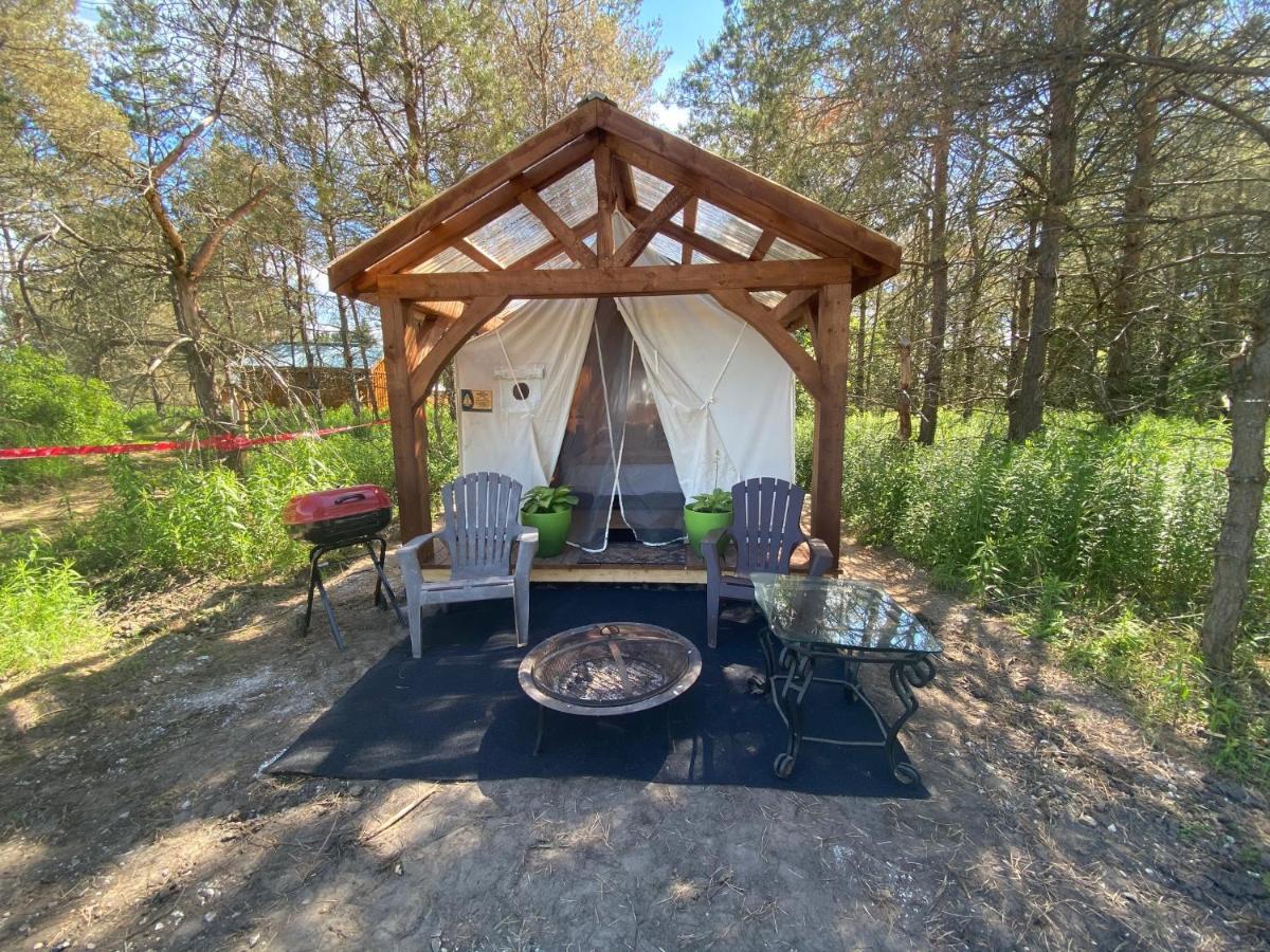 Dreamers Writing Farm, 3 Wooded Acres, Hepworth Sauble Beach Ngoại thất bức ảnh