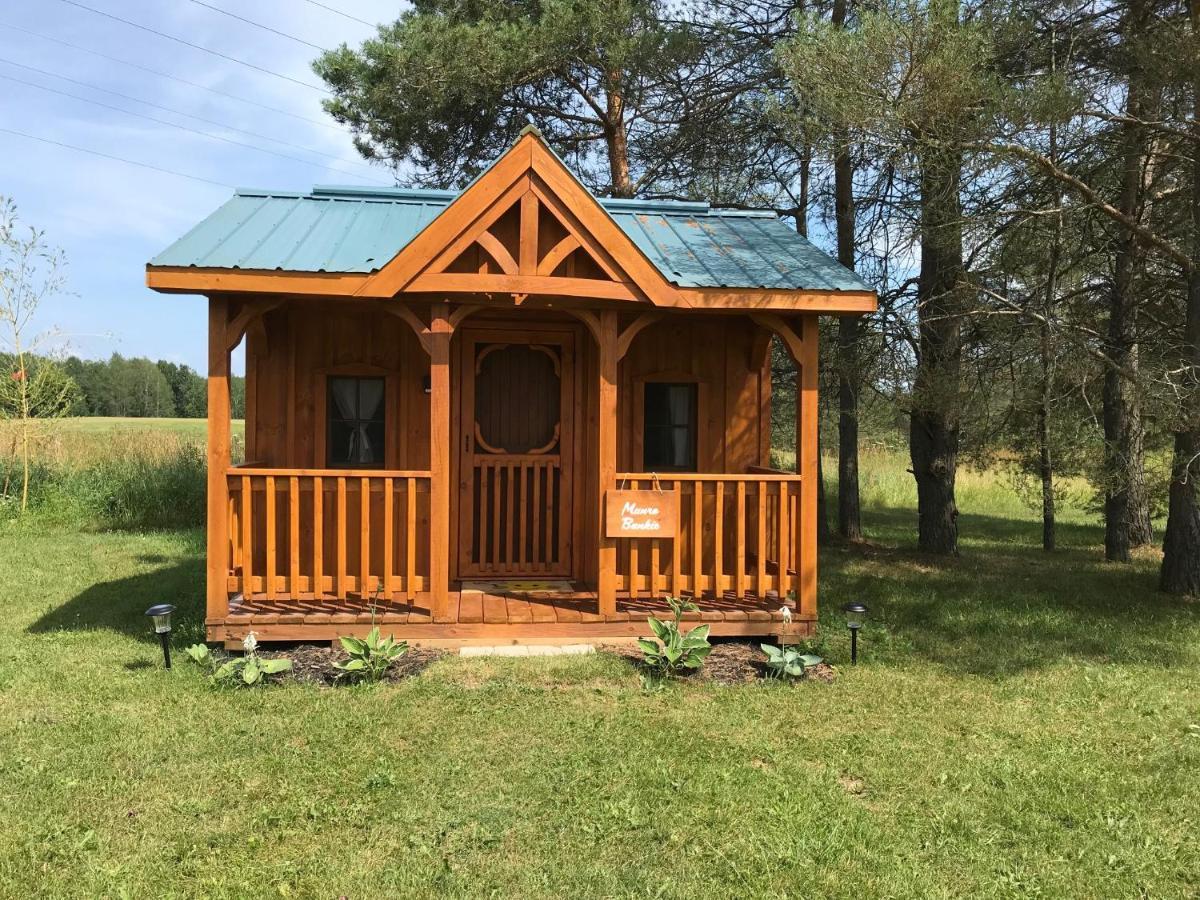 Dreamers Writing Farm, 3 Wooded Acres, Hepworth Sauble Beach Ngoại thất bức ảnh