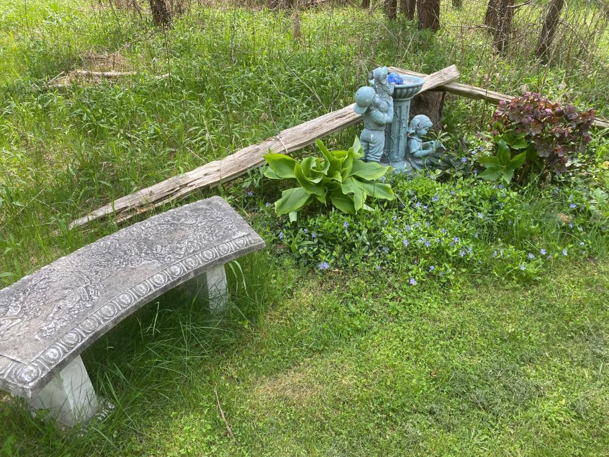 Dreamers Writing Farm, 3 Wooded Acres, Hepworth Sauble Beach Ngoại thất bức ảnh