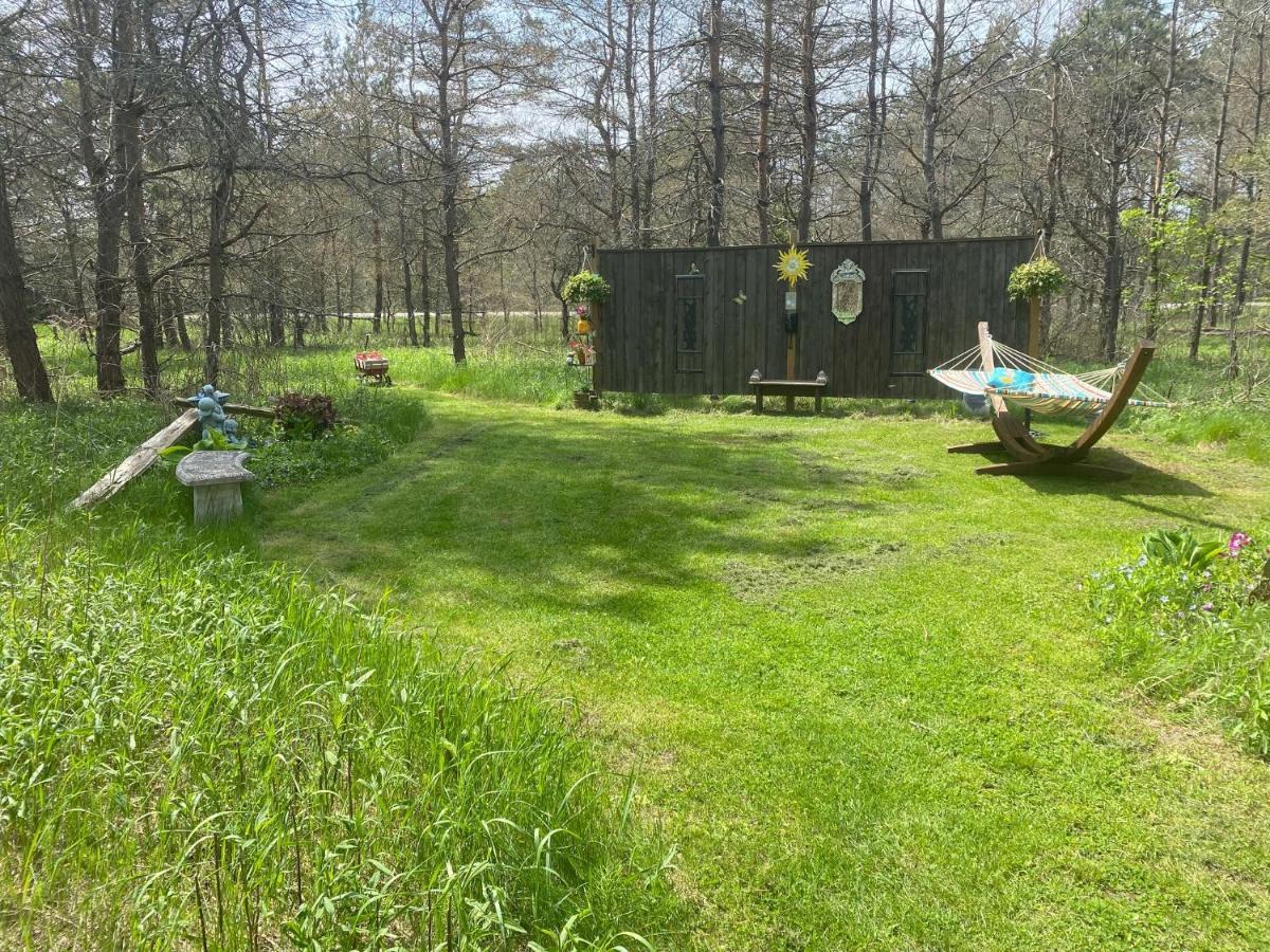Dreamers Writing Farm, 3 Wooded Acres, Hepworth Sauble Beach Ngoại thất bức ảnh