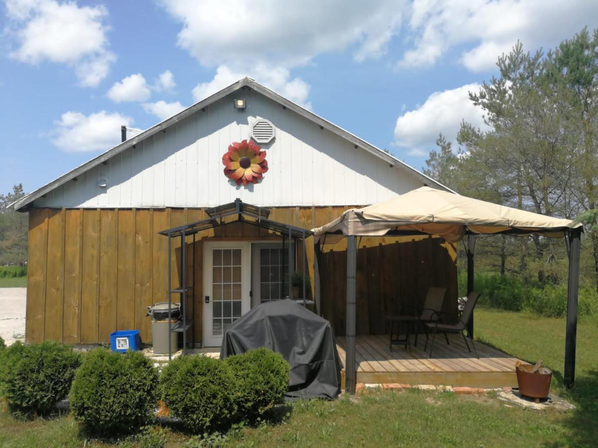 Dreamers Writing Farm, 3 Wooded Acres, Hepworth Sauble Beach Ngoại thất bức ảnh